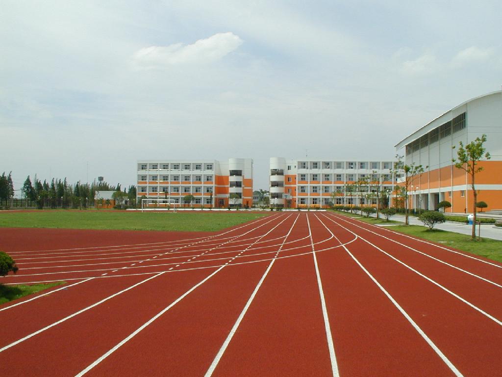 梁山宏志中学400m塑胶跑道+人造草坪足球场